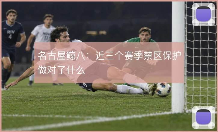 名古屋鲸八：近三个赛季禁区保护做对了什么
